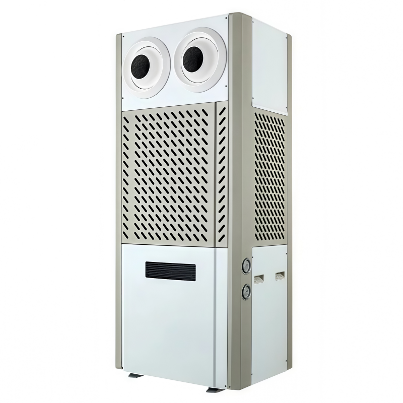 12P double ball air outlet energy-saving air conditioner