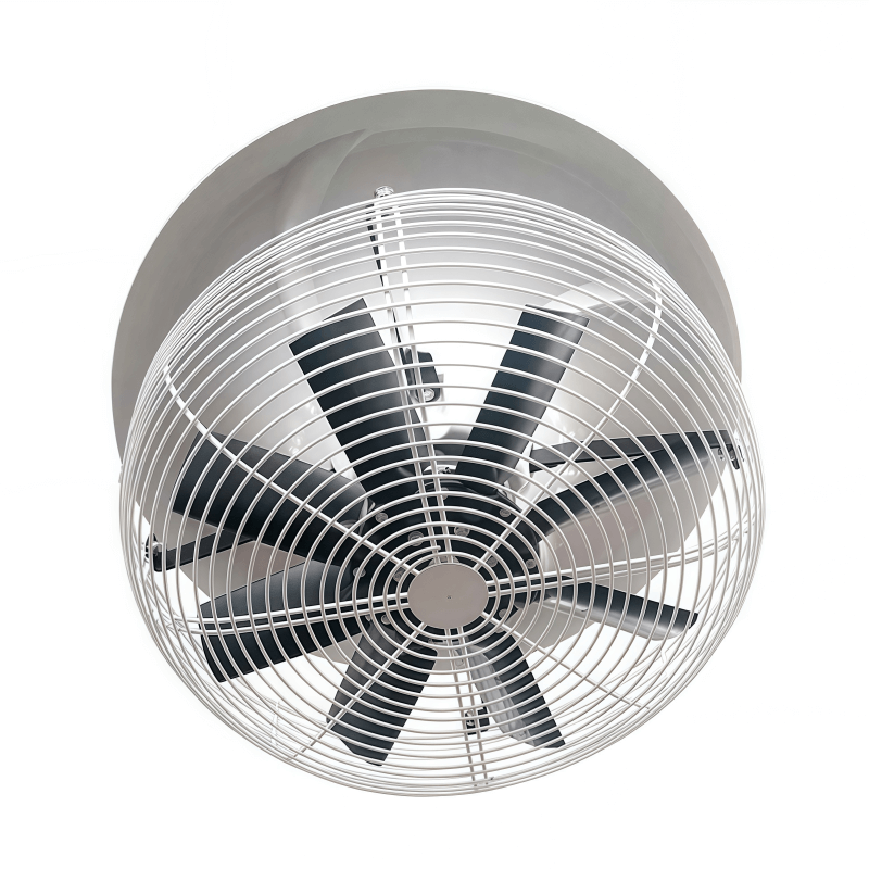 Vertical circulation fan