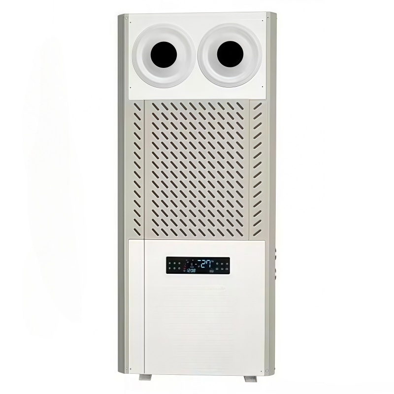 12P double ball air outlet energy-saving air conditioner