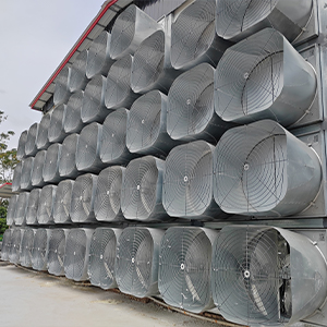 Galvanized box fan series-Butterfly cone fan