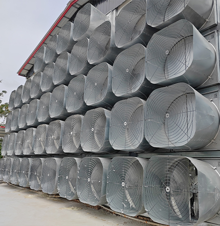 Galvanized box fan series-Butterfly cone fan
