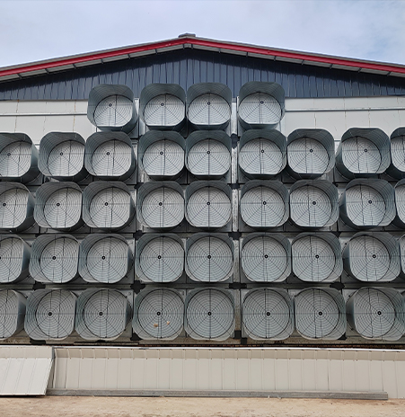 Galvanized box fan series-Shutter cone fan