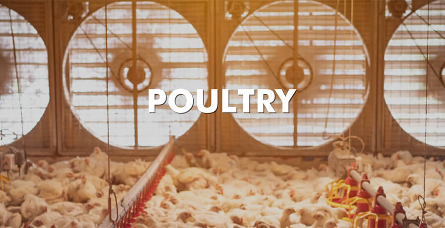 Discover our ventilation systems