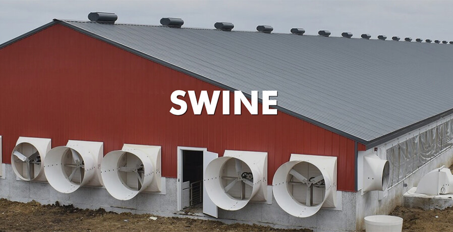 Climate control systems in pig farms
