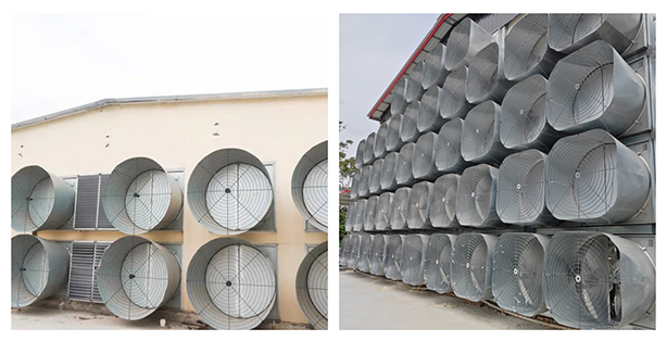The various ventilation options for poultry houses