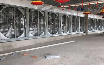 Ventilation and cooling system for chicken house in Bangkok,Thailand