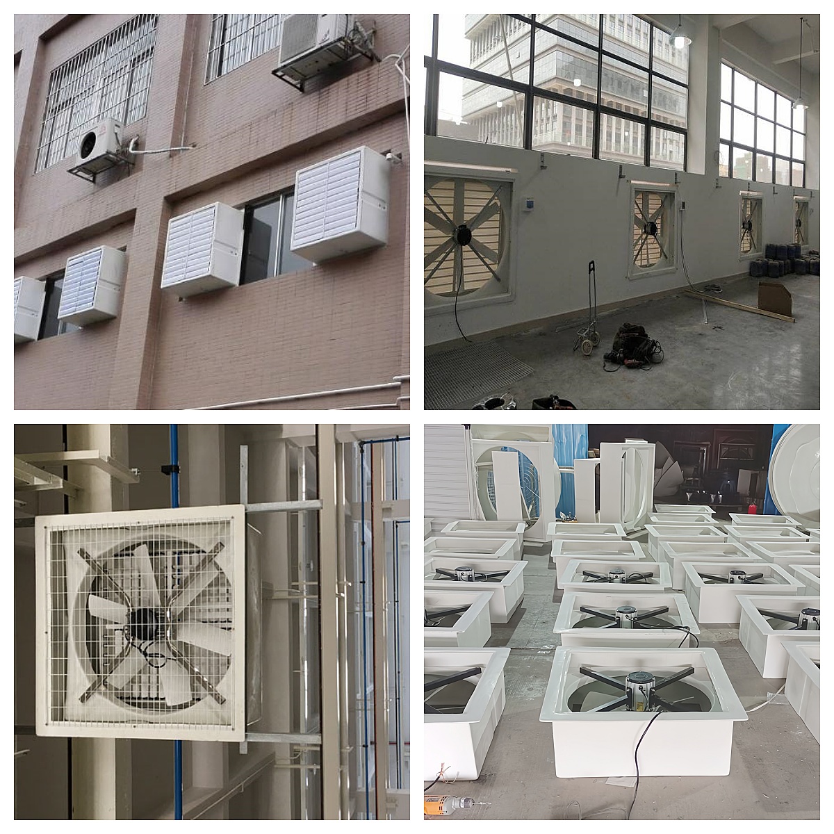 Industrial exhaust fan with a protective grille and a louvered air intake, designed for optimal ventilation in commercial and industrial spaces.