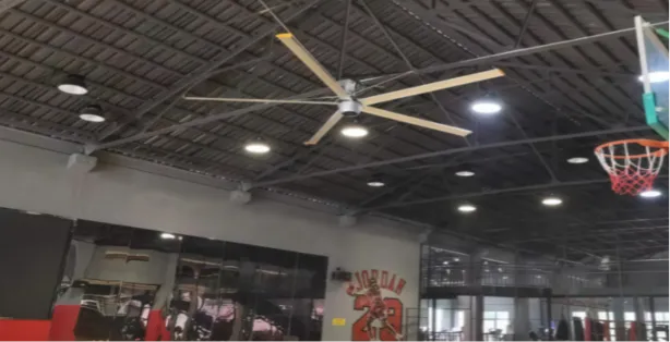 Best Ceiling Fans for Efficient Air Circulation in 2025