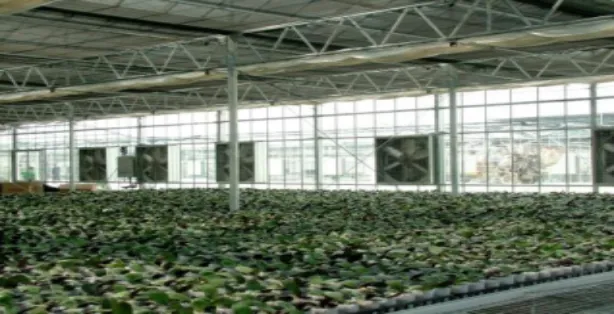 How to Design a Negative Pressure Cooling System with Box Fans and Cooling Pads