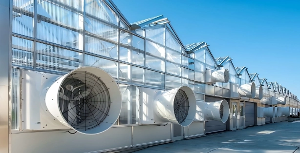 Problemi di ventilazione comuni nelle serre orticolari e come risolverli