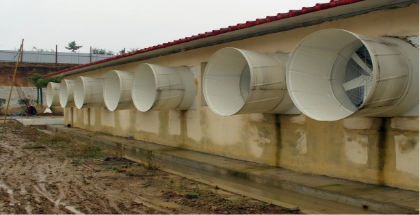 Best Ventilation Solutions for Poultry Houses with Fiberglass Fans
