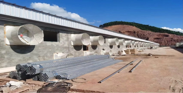 How to Choose the Best Ventilation System for Poultry Houses