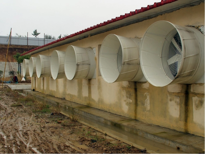 Ventilation Solutions for Poultry Houses with Fiberglass Fans