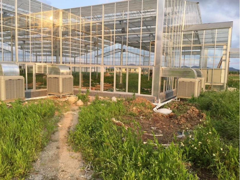 Young plants growing in a very large plant nursery in the france