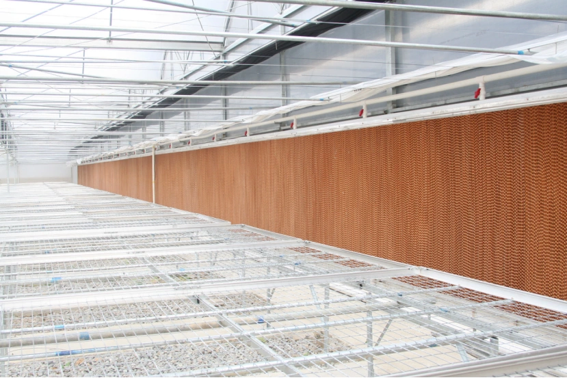 Pad di raffreddamento evaporativo in nido d'ape di qualità industriale