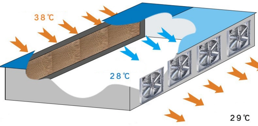 Honeycomb Cooling Pad With Frame