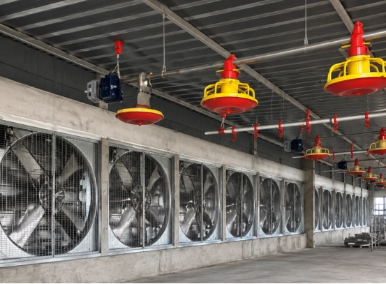 Poultry house exhaust fan